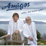 20-08-2015 - MCS_Marketing - Amigos - cover.jpg